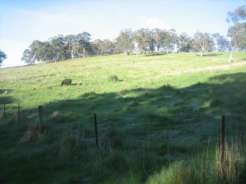 Meadow Flat NSW 2795