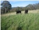 Meadow Flat NSW 2795