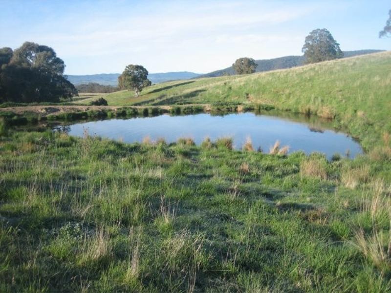 Meadow Flat NSW 2795
