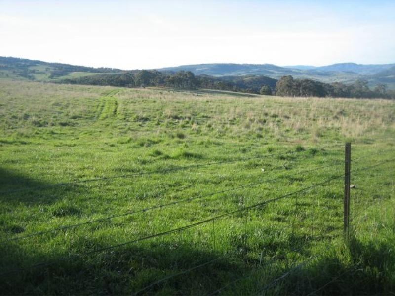 Meadow Flat NSW 2795