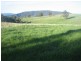 Meadow Flat NSW 2795