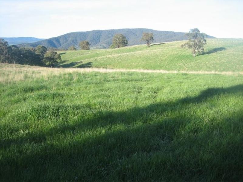 Meadow Flat NSW 2795