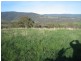 Meadow Flat NSW 2795