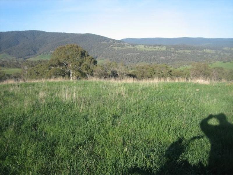 Meadow Flat NSW 2795