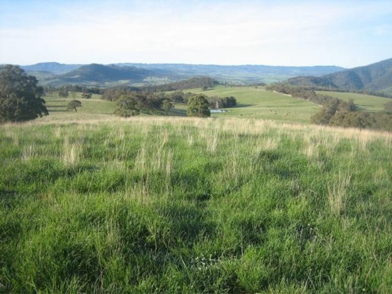 Meadow Flat NSW 2795