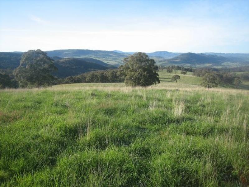 Meadow Flat NSW 2795