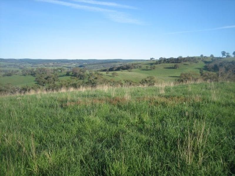 Meadow Flat NSW 2795