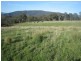 Meadow Flat NSW 2795