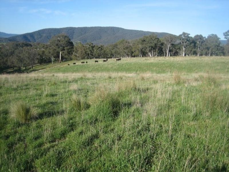 Meadow Flat NSW 2795
