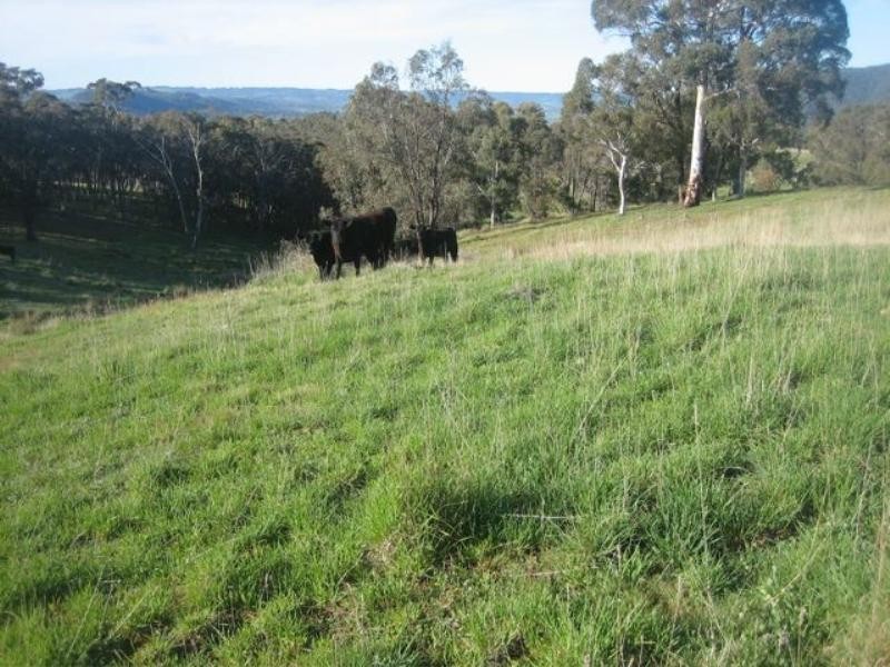 Meadow Flat NSW 2795