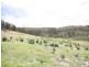 Burraga NSW 2795