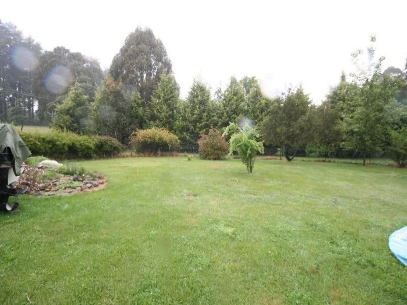 Black Springs NSW 2787