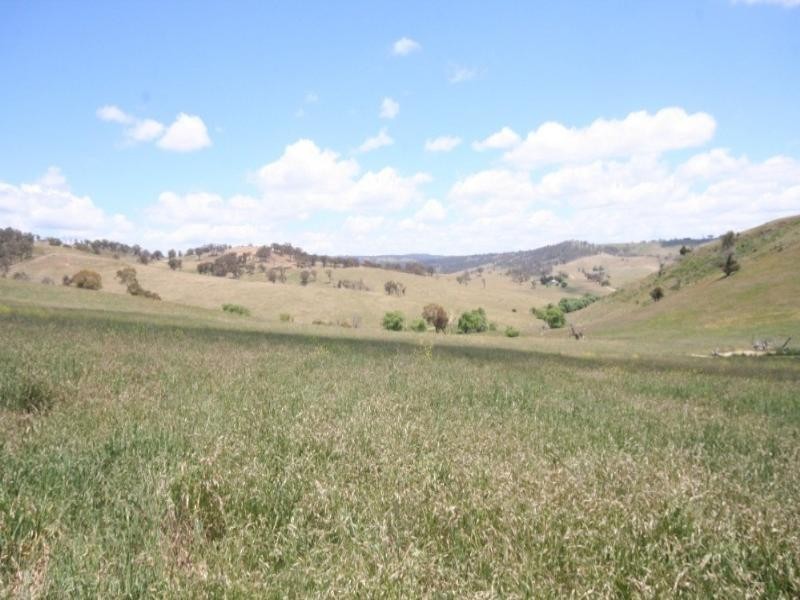 Tarana NSW 2787