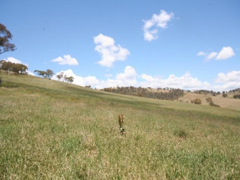Tarana NSW 2787
