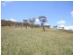 Tarana NSW 2787