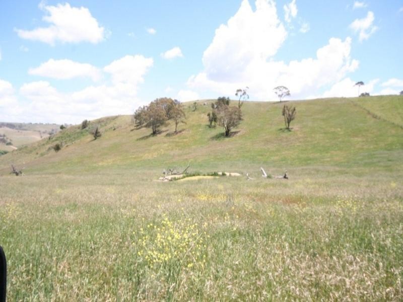 Tarana NSW 2787