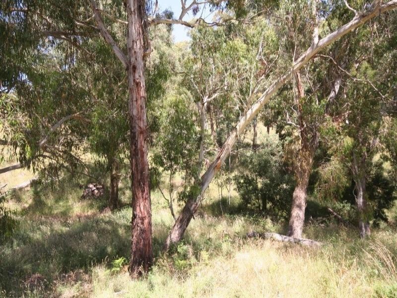 Meadow Flat NSW 2795