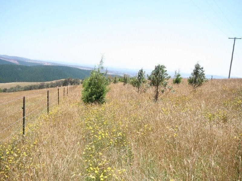 Meadow Flat NSW 2795