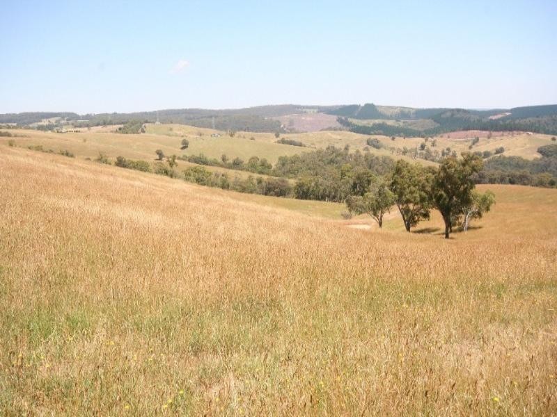 Meadow Flat NSW 2795