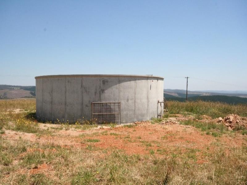 Meadow Flat NSW 2795