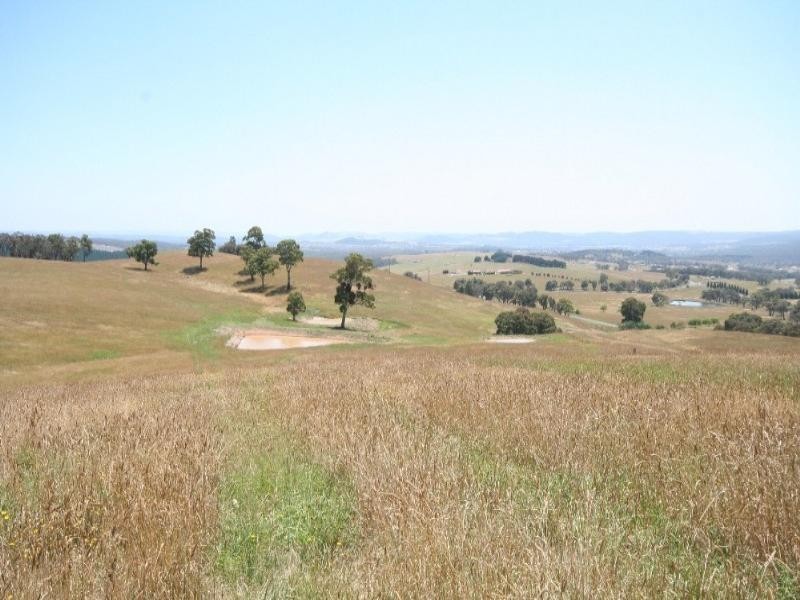 Meadow Flat NSW 2795