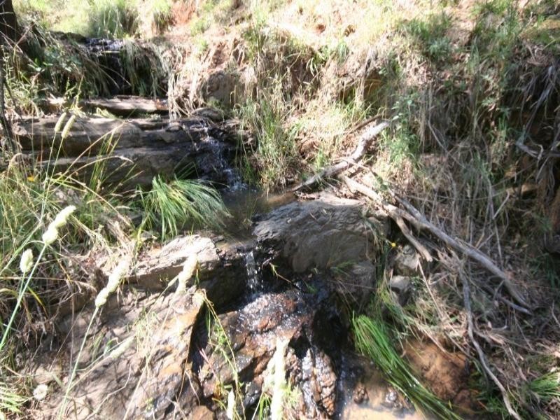 Meadow Flat NSW 2795