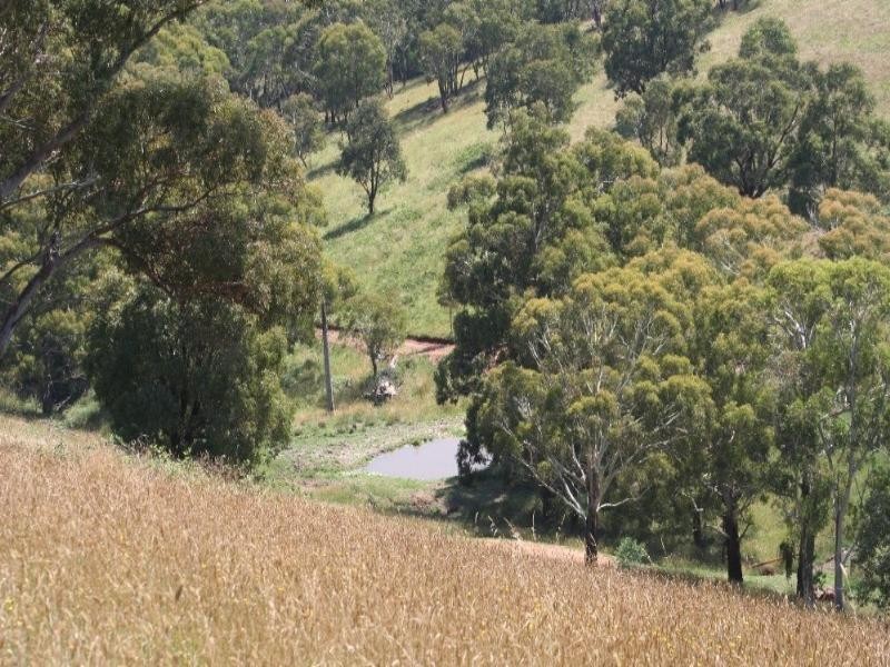 Meadow Flat NSW 2795