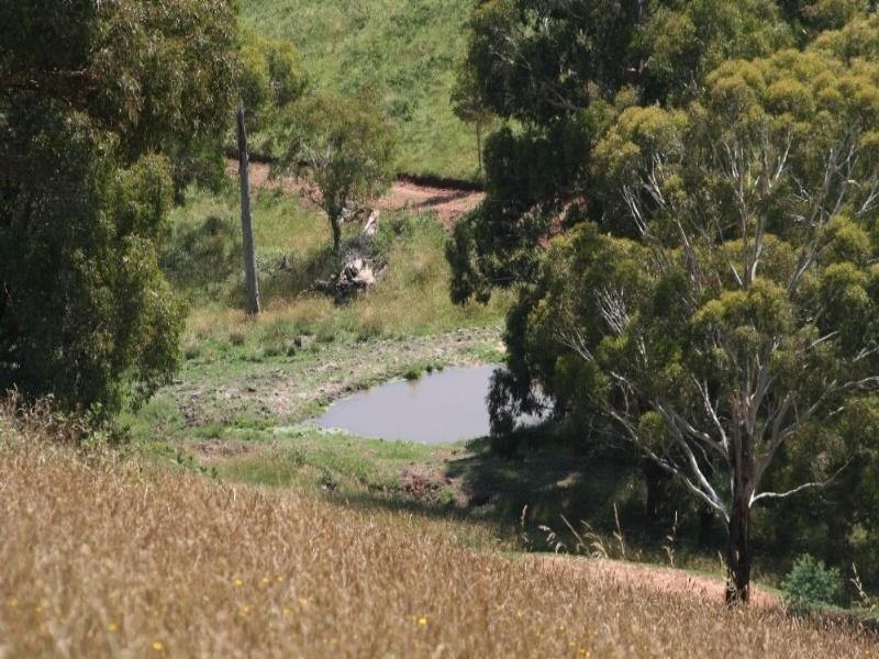 Meadow Flat NSW 2795