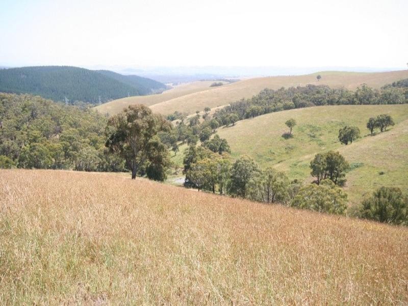 Meadow Flat NSW 2795