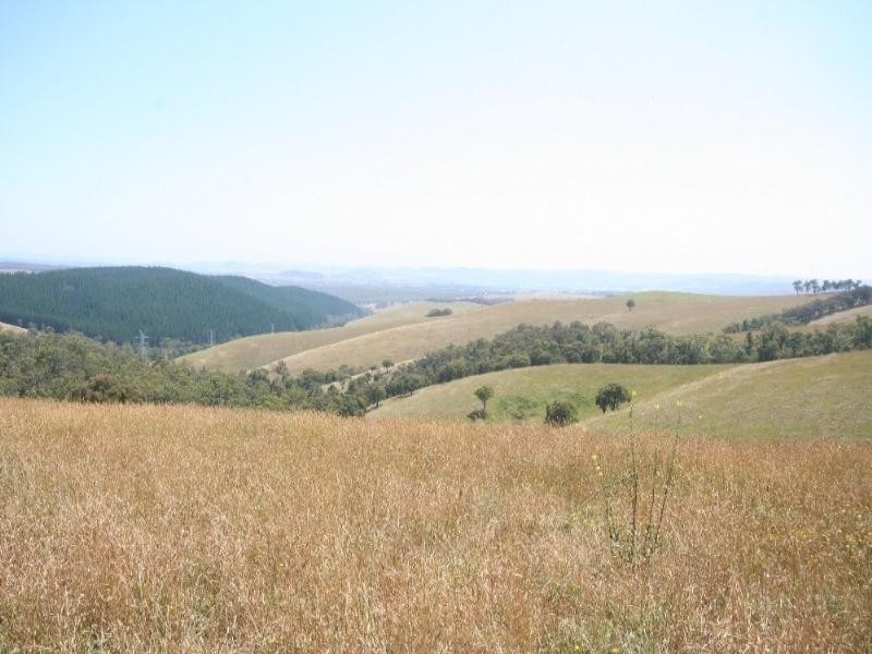 Meadow Flat NSW 2795