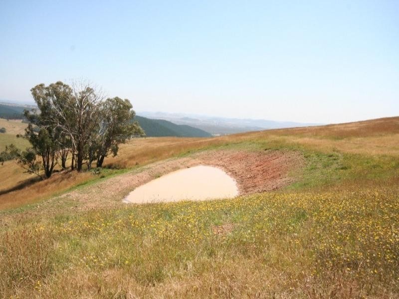 Meadow Flat NSW 2795