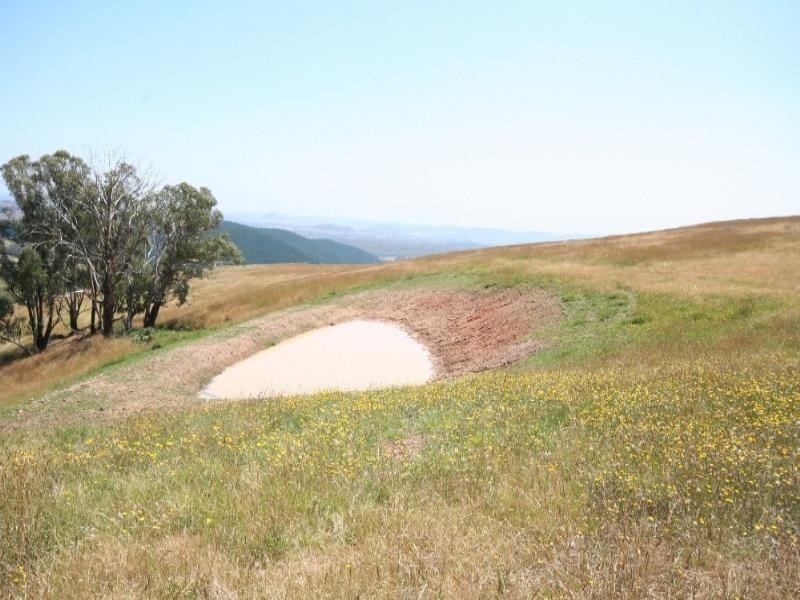 Meadow Flat NSW 2795