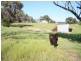 1789 O’Connell Road, O’connell NSW 2795