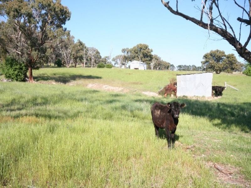 1789 O’Connell Road, O’connell NSW 2795