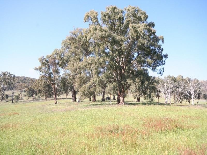 1789 O’Connell Road, O’connell NSW 2795