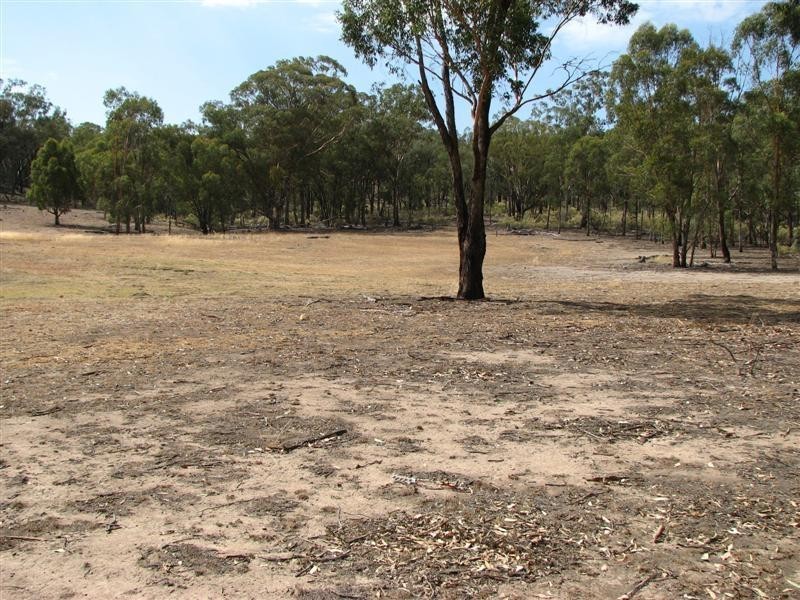 Lot 12 Kangarooby Road, Gooloogong NSW 2805