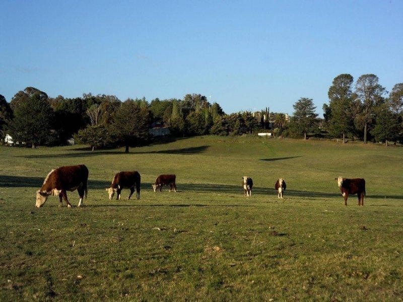 Mandurama NSW 2792