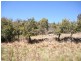 Oberon NSW 2787
