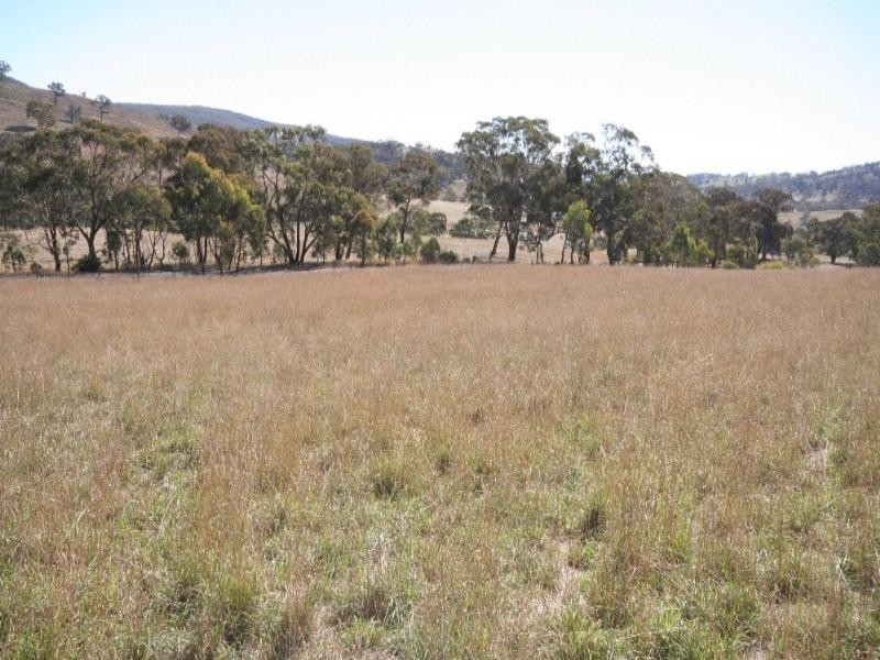 Wisemans Creek NSW 2795