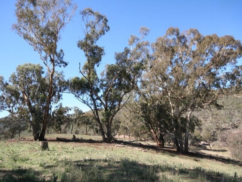 Wisemans Creek NSW 2795