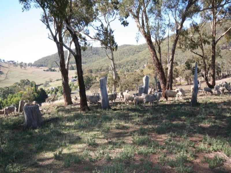 Wisemans Creek NSW 2795