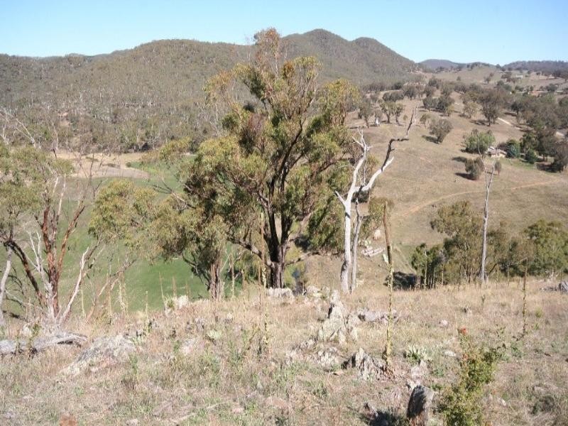 Wisemans Creek NSW 2795