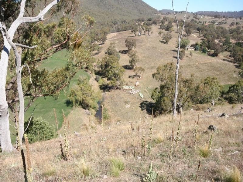 Wisemans Creek NSW 2795