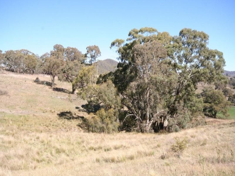 Wisemans Creek NSW 2795