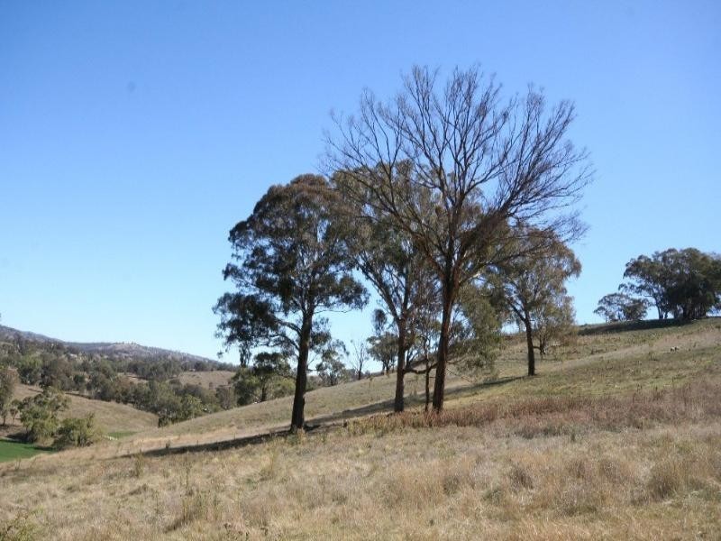 Wisemans Creek NSW 2795