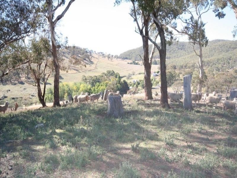 Wisemans Creek NSW 2795