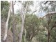 Jerrong NSW 2580