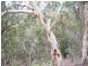 Jerrong NSW 2580