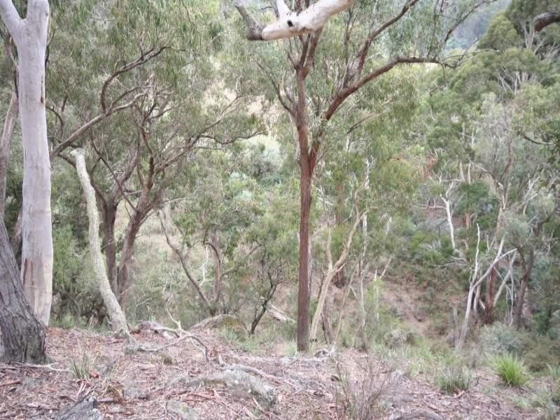 Jerrong NSW 2580