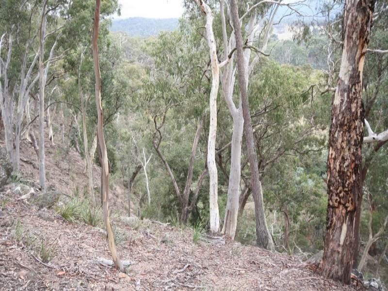 Jerrong NSW 2580